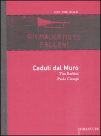 caduti-dal-muro.jpg